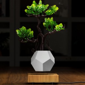 nová dřevěná základna magnetická levitace spodní flyte air bonsai pot květináč